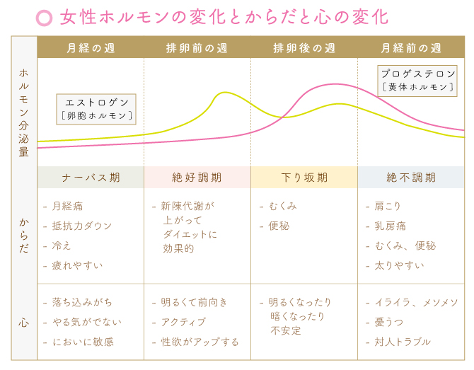 Vol 01 女性のからだと女性ホルモン お知らせ ベルメゾン ほけんはっけん